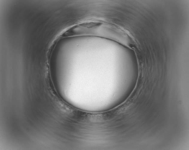 X0000074221363200609221956