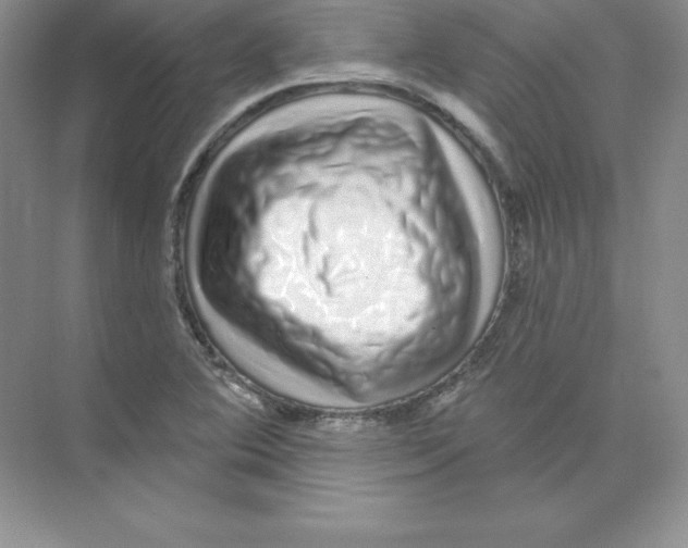 X0000074221364200609221956