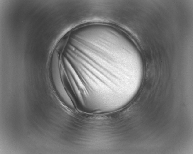 X0000074221367200609221956
