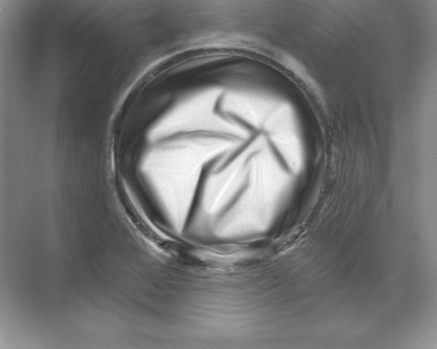 X0000074221368200609221956