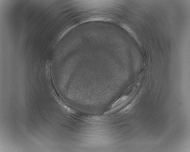 X0000074221369200609221956