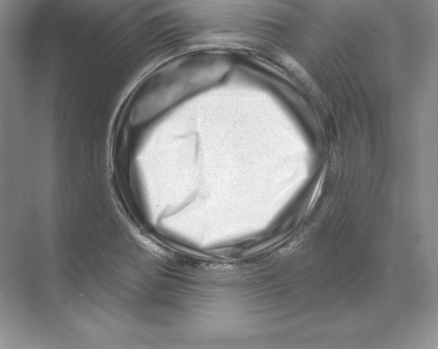 X0000074221370200609221956