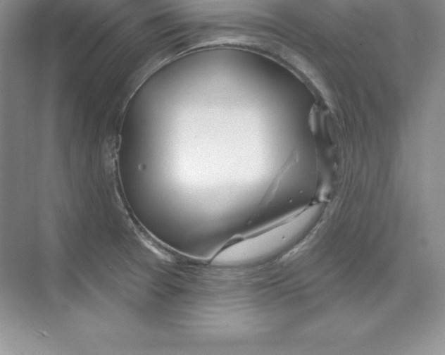 X0000074221377200609221956