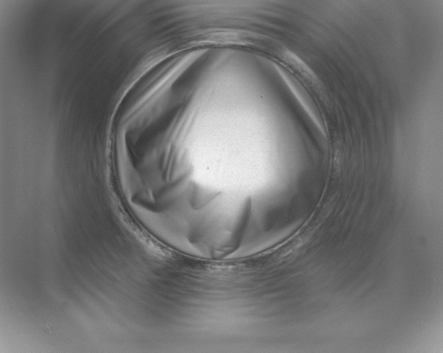 X0000074221378200609221956