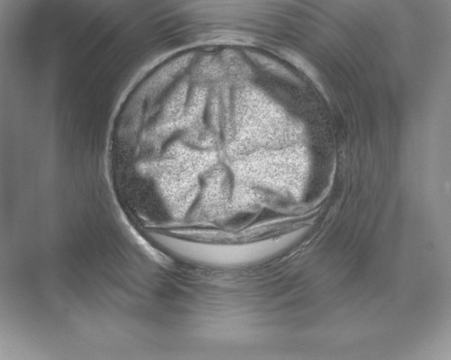 X0000074221379200609221956