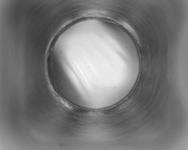 X0000074221384200609221956