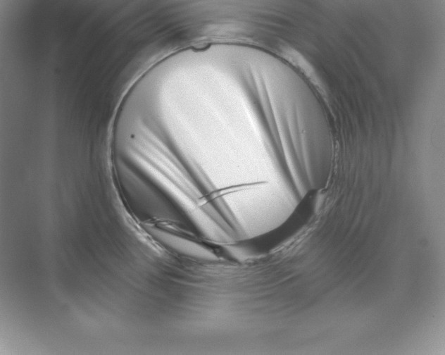 X0000074221386200609221956