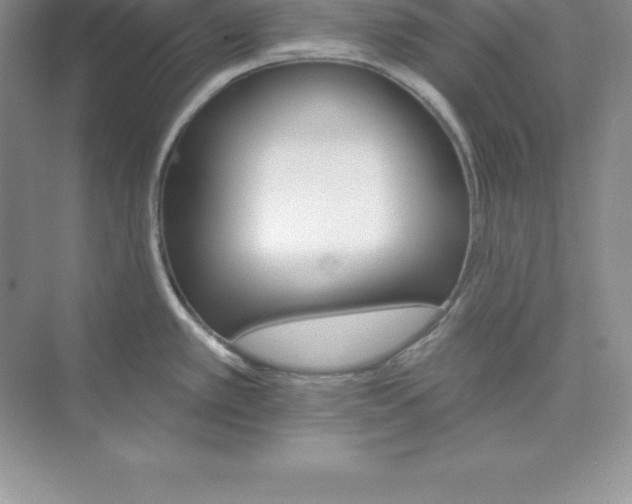 X0000074221389200609221956