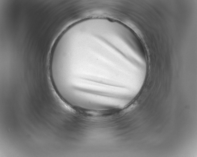 X0000074221392200609221956