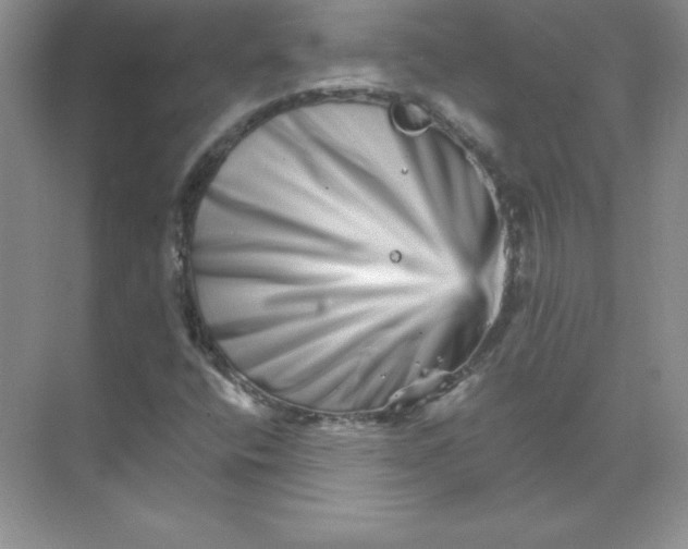 X0000074221400200609221955
