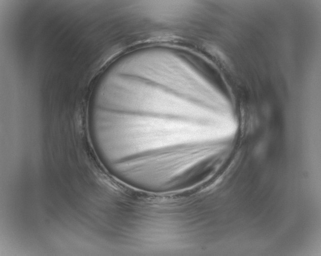 X0000074221401200609221955