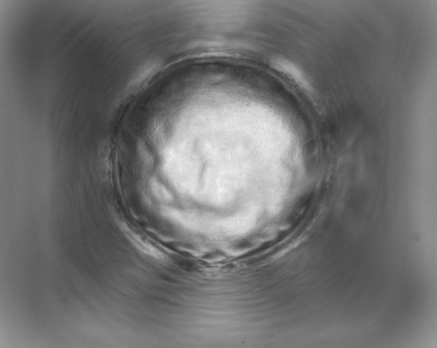 X0000074221403200609221955