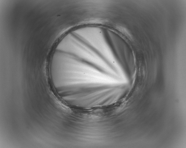 X0000074221404200609221955