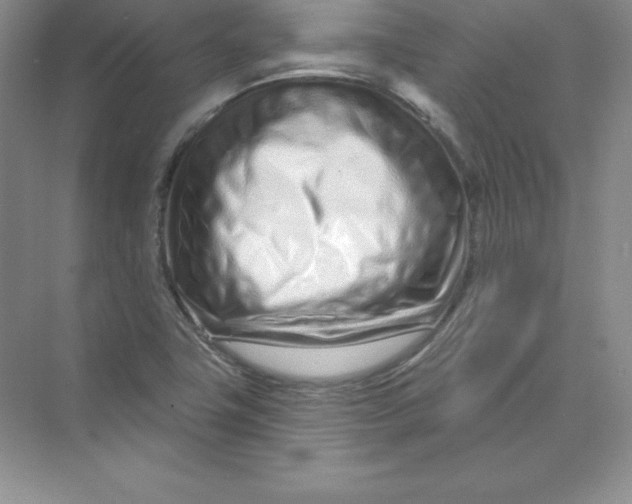 X0000074221411200609221955