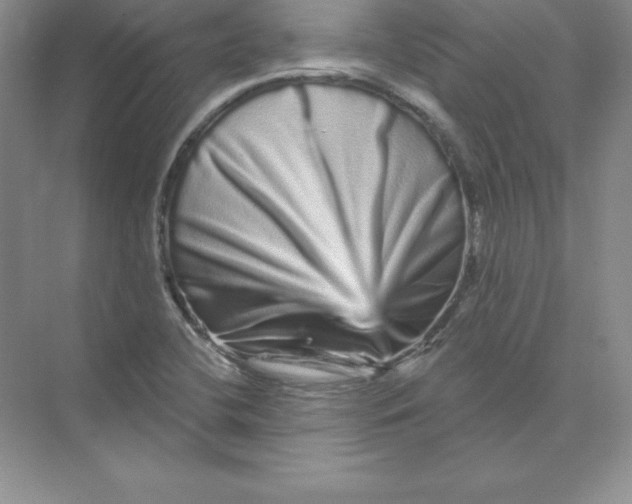 X0000074221412200609221955