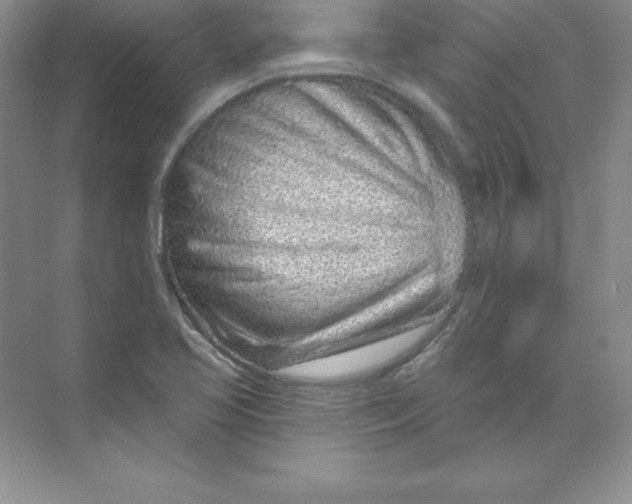 X0000074221413200609221955