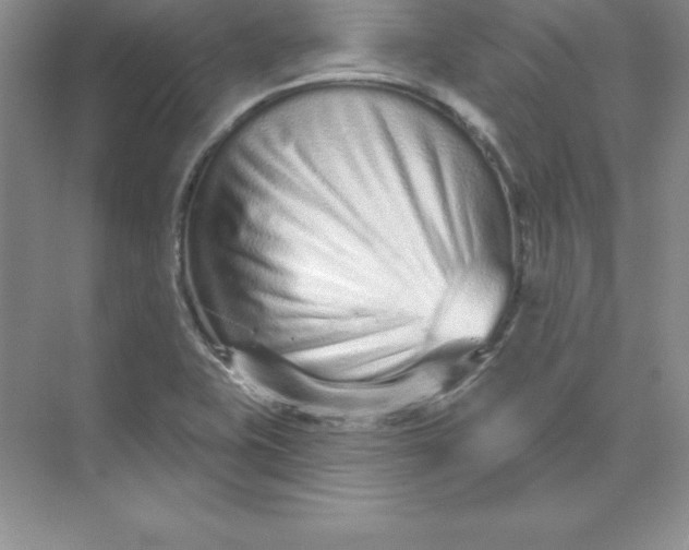 X0000074221415200609221955
