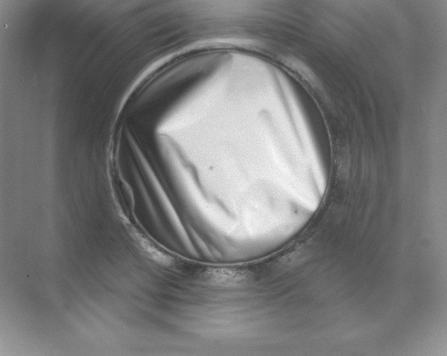 X0000074221420200609221955