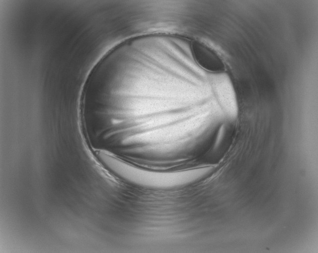 X0000074221423200609221955