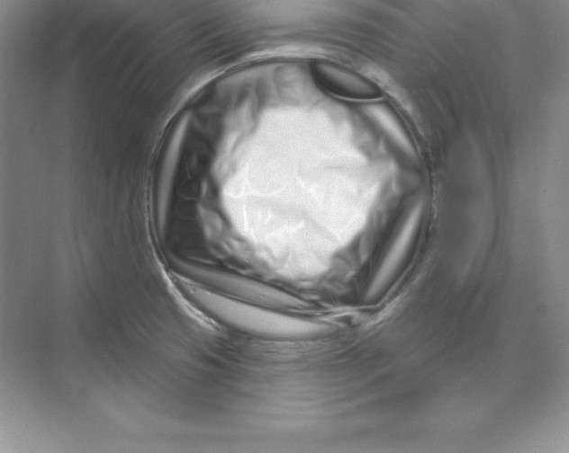 X0000074221425200609221956