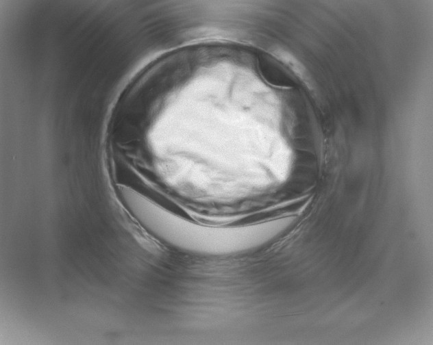 X0000074221427200609221956