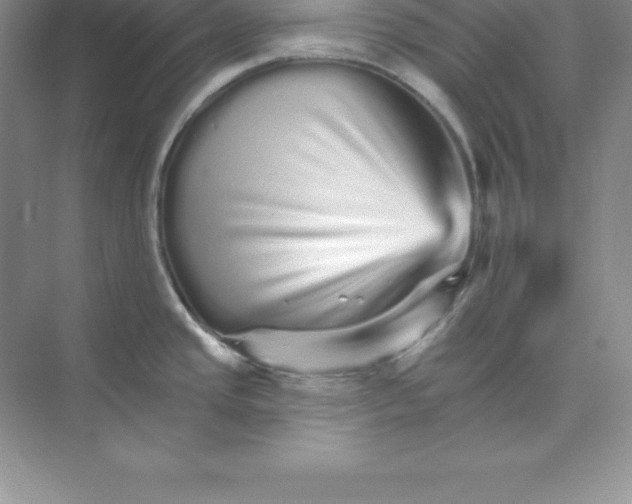 X0000074221437200609221956