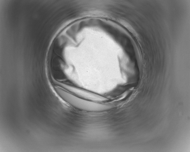 X0000074221440200609221956