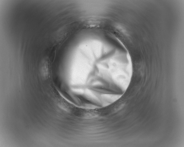 X0000074221442200609221955