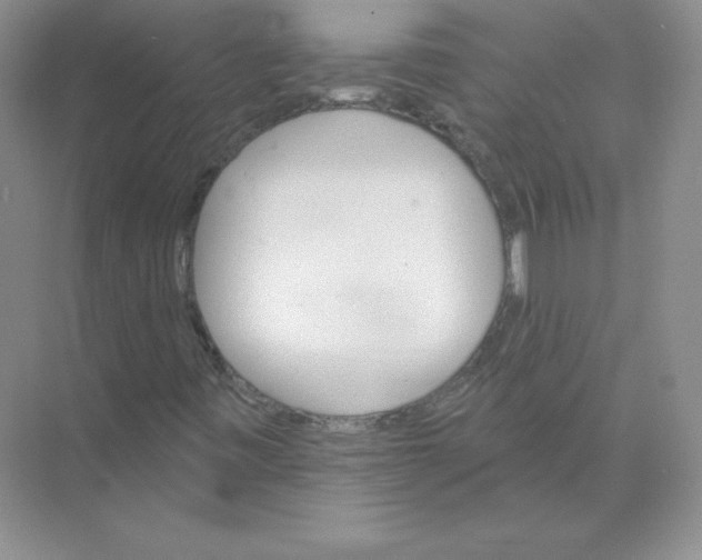 X0000074221443200609221955