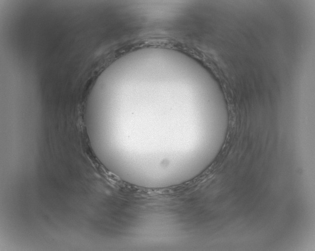 X0000074221445200609221955