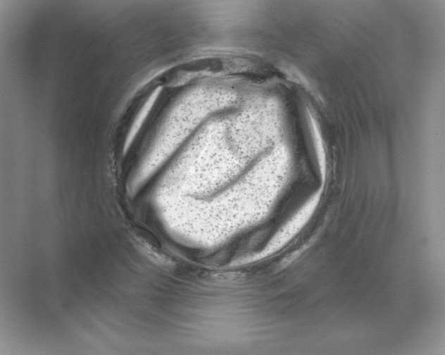 X0000074221453200609221955