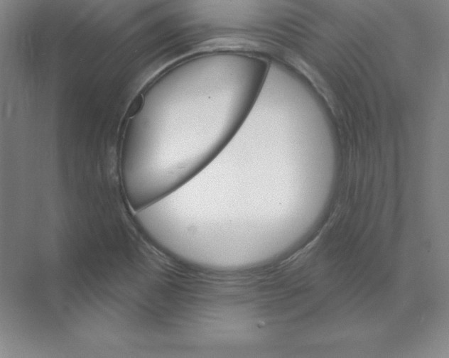 X0000074221465200609221955