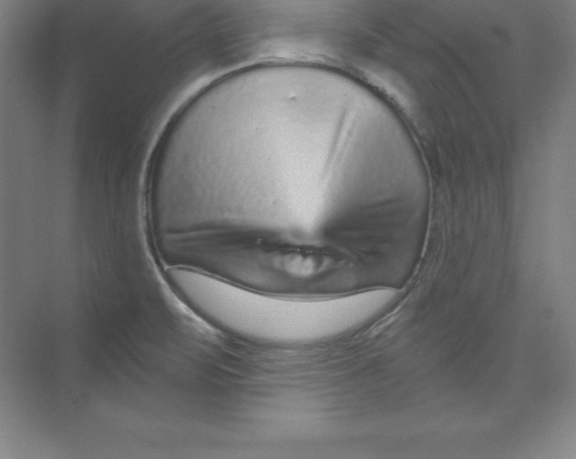 X0000074221471200609221954