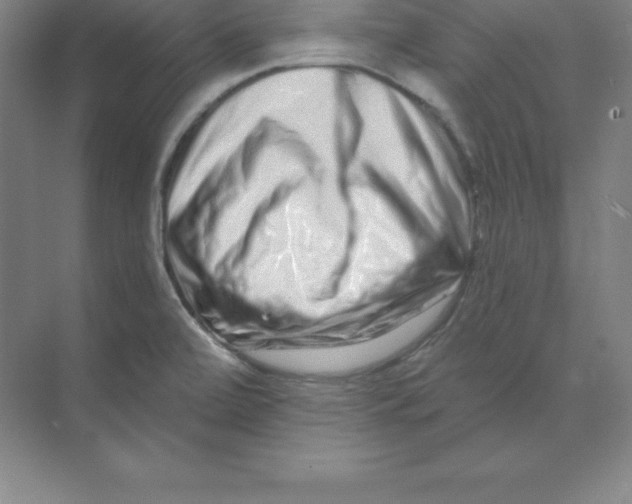 X0000074221472200609221954