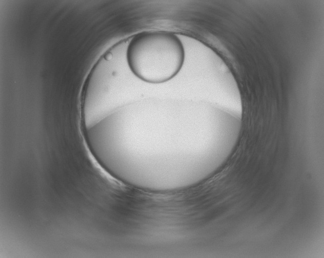 X0000074221479200609221954