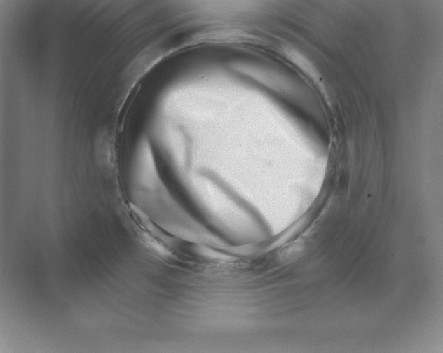 X0000074221481200609221954