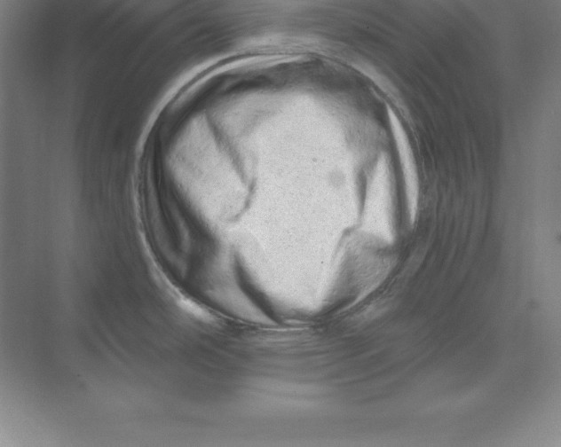 X0000074221486200609221954