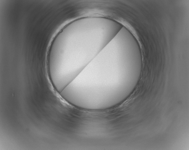 X0000074221488200609221954