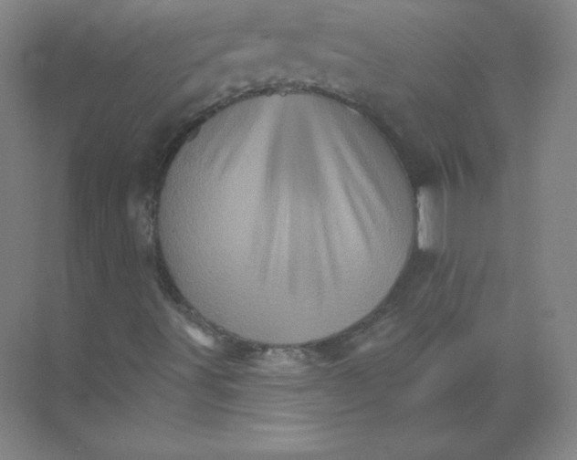 X0000074221491200609221953