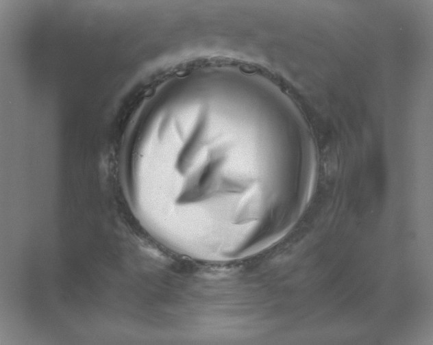 X0000074221495200609221953