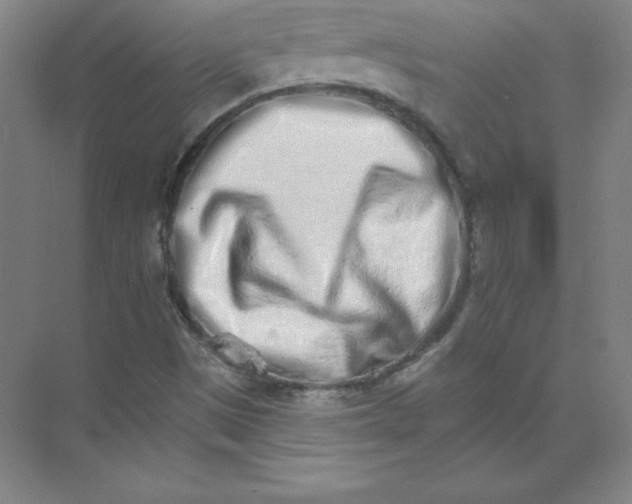 X0000074221497200609221954