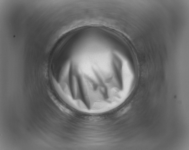 X0000074221499200609221954