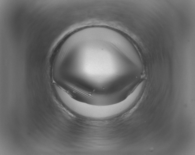 X0000074221502200609221954