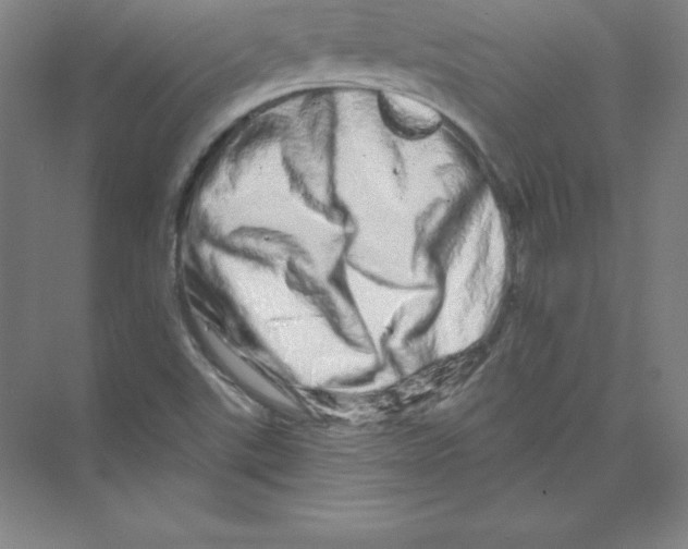 X0000074221507200609221954