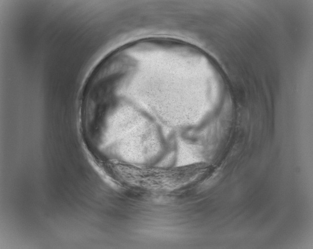 X0000074221511200609221954