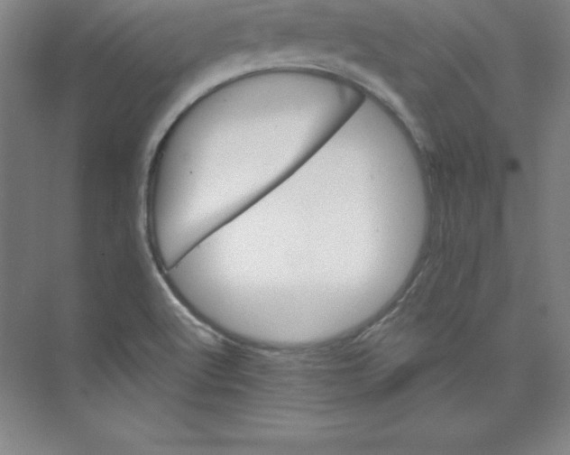 X0000074221512200609221954