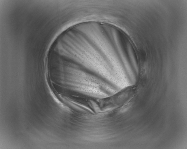 X0000074221515200609221954