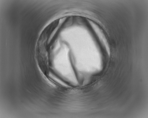 X0000074221522200609221954
