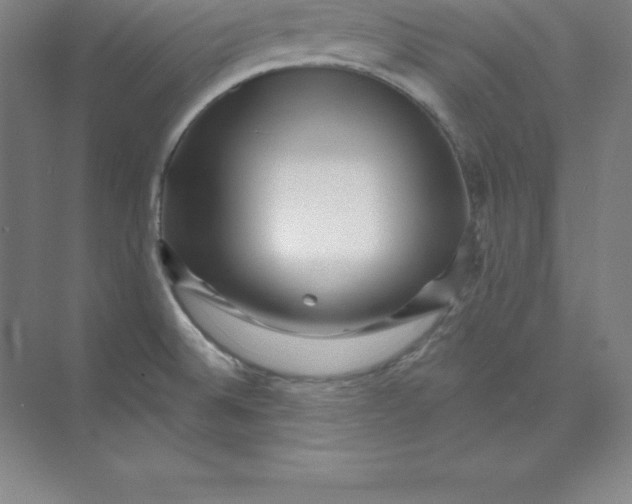 X0000074221524200609221954