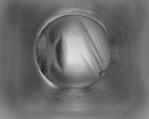 X0000074221531200609221954